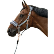 HKM Halster Rosegold Glamour Roségoud HKM Halster Rosegold Glamour Roségoud