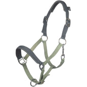 HKM Halster Barnie Lichtgroen/Donkergroen HKM Halster Barnie Lichtgroen/Donkergroen