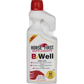 HorseFirst B Well HorseFirst B Well