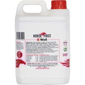 HorseFirst B Well HorseFirst B Well
