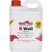 HorseFirst B Well HorseFirst B Well