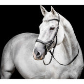 Horseware Micklem Competition Bridle Zwart Horseware Micklem Competition Bridle Zwart