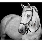 Horseware Micklem Deluxe Competition Bridle Zwart Horseware Micklem Deluxe Competition Bridle Zwart