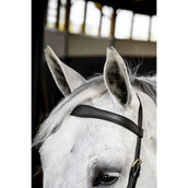 Horseware Micklem Multi Bridle Zwart Horseware Micklem Multi Bridle Zwart