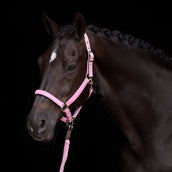 HV Polo Halster HVPNena Pretty Pink HV Polo Halster HVPNena Pretty Pink