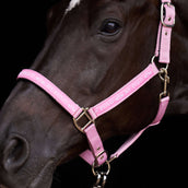 HV Polo Halster HVPNena Pretty Pink HV Polo Halster HVPNena Pretty Pink