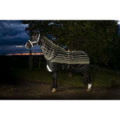 Amigo Turnout Rug FieldSafe Reflectech Plus 1200D 100g Black/Reflective/Black Amigo Turnout Rug FieldSafe Reflectech Plus 1200D 100g Black/Reflective/Black
