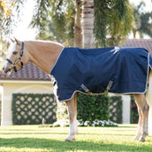 Amigo Turnout 1200D Pony 50g Navy/Titanium Grey/Silver Amigo Turnout 1200D Pony 50g Navy/Titanium Grey/Silver