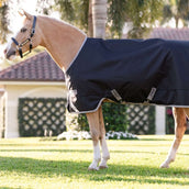 Amigo Turnout 1200D Pony 50g Black/Titanium Grey/Silver Amigo Turnout 1200D Pony 50g Black/Titanium Grey/Silver