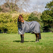 Amigo Bravo 12 Plus T/O Lite 0g Shadow/Navy/Rose Amigo Bravo 12 Plus T/O Lite 0g Shadow/Navy/Rose