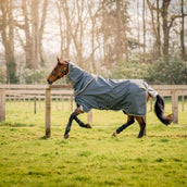 Amigo Bravo 12 Plus T/O Lite 0g Shadow/Navy/Rose Amigo Bravo 12 Plus T/O Lite 0g Shadow/Navy/Rose