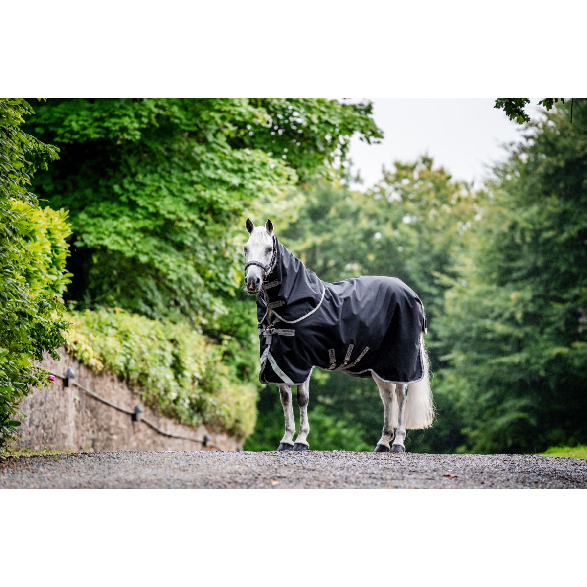 Amigo Bravo Turnout Heavy Coperta Per Cavalli Horseware Amigo Bravo 12 Plus - Impermeabile E Ad Alta Copertura, 400g Serbatoio Bravo