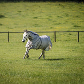 Rambo Optimo Protector Plus Silver/Thunderstorm Grey/Silver Rambo Optimo Protector Plus Silver/Thunderstorm Grey/Silver