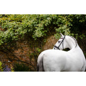 Horseware Hoofdstel Diamante Zwart/Roze Horseware Hoofdstel Diamante Zwart/Roze