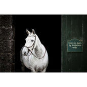 Rambo Micklem Bitless Bridle Bruin Rambo Micklem Bitless Bridle Bruin