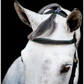 Rambo Micklem Multi Bridle New Zwart Rambo Micklem Multi Bridle New Zwart