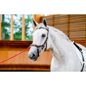 Rambo Micklem Multi Bridle New Dark Havana Rambo Micklem Multi Bridle New Dark Havana