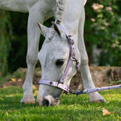 Imperial Riding Halster IRHRebel Wisteria Imperial Riding Halster IRHRebel Wisteria