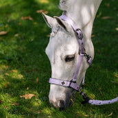 Imperial Riding Halster IRHRebel Wisteria Imperial Riding Halster IRHRebel Wisteria