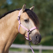 Imperial Riding Halster IRHSparkle Ballerina Imperial Riding Halster IRHSparkle Ballerina