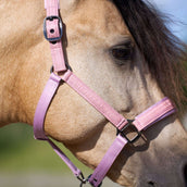 Imperial Riding Halster IRHSparkle Ballerina Imperial Riding Halster IRHSparkle Ballerina