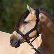 Imperial Riding Halster IRHSparkle Zwart Imperial Riding Halster IRHSparkle Zwart