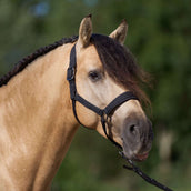 Imperial Riding Halster IRHSparkle Zwart Imperial Riding Halster IRHSparkle Zwart