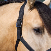 Imperial Riding Halster IRHSparkle Zwart Imperial Riding Halster IRHSparkle Zwart
