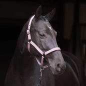 Imperial Riding Halster IRHRebel Ballerina Imperial Riding Halster IRHRebel Ballerina