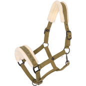 Imperial Riding Halster IRHJewel Olive Green Imperial Riding Halster IRHJewel Olive Green