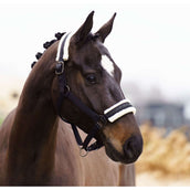 Imperial Riding Halster IRHJewel Zwart Imperial Riding Halster IRHJewel Zwart