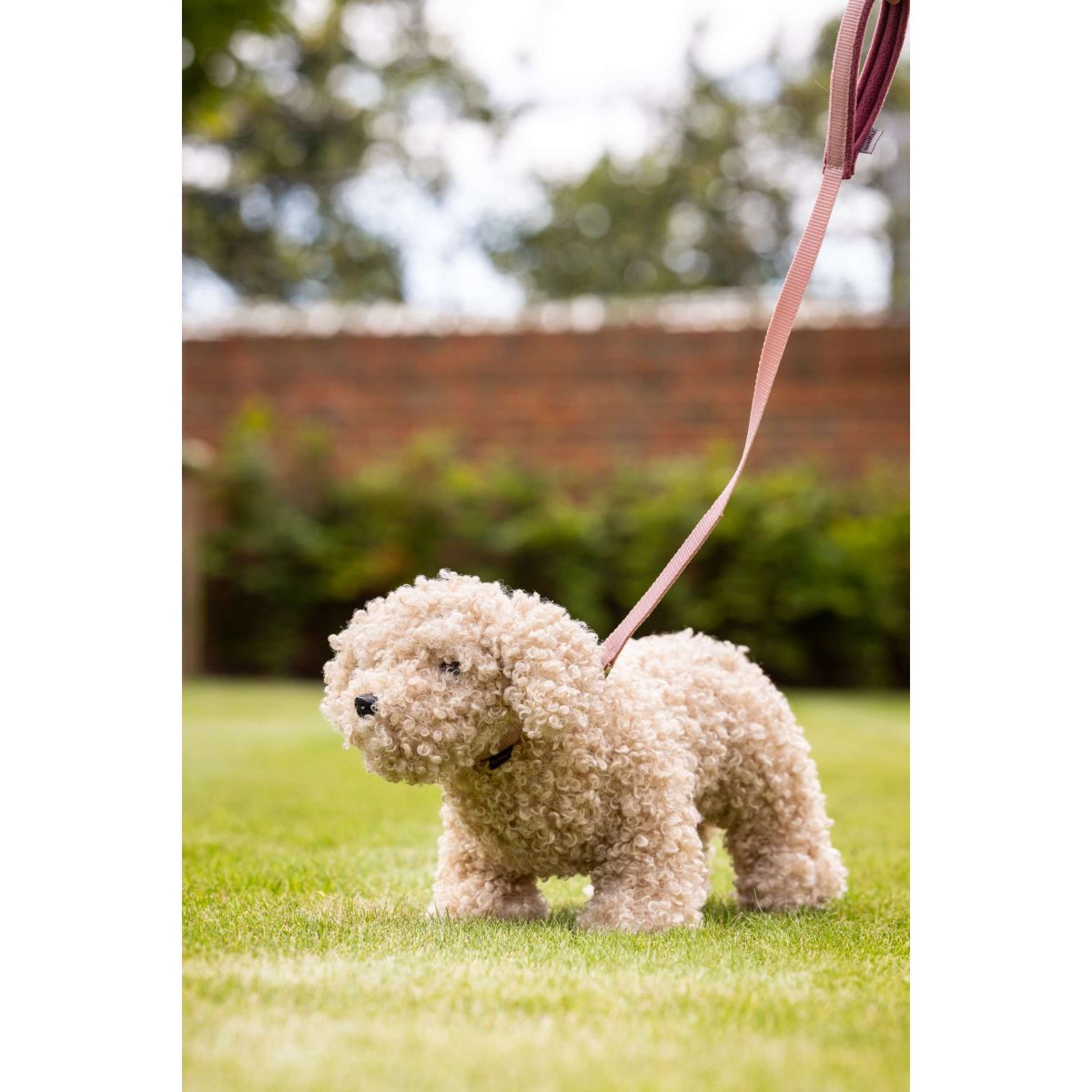 LeMieux Toy Dog Cockapoo Beige LeMieux Toy Dog Cockapoo Beige
