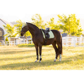 LeMieux Zadeldekje Suede Square Dressuur Macaron LeMieux Zadeldekje Suede Square Dressuur Macaron