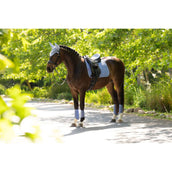 LeMieux Zadeldekje Suede Square Dressuur Powder Blue LeMieux Zadeldekje Suede Square Dressuur Powder Blue