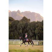 LeMieux Zadeldekje Loire Classic Square Dressuur Mallow LeMieux Zadeldekje Loire Classic Square Dressuur Mallow