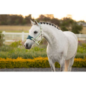 LeMieux Halsterset Mini Vogue Macaron LeMieux Halsterset Mini Vogue Macaron