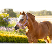 LeMieux Halsterset Mini Vogue Mallow LeMieux Halsterset Mini Vogue Mallow