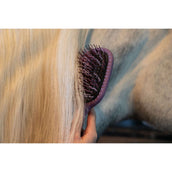 LeMieux Manen- en Staart Borstel Tangle Tidy Mallow LeMieux Manen- en Staart Borstel Tangle Tidy Mallow