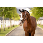 LeMieux Halster Capella Fondant LeMieux Halster Capella Fondant