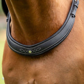 Kavalkade Borsttuig Jerome 2-Punts Zwart Kavalkade Borsttuig Jerome 2-Punts Zwart