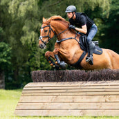 Kavalkade Borsttuig Jerome 2-Punts Zwart Kavalkade Borsttuig Jerome 2-Punts Zwart