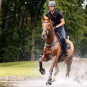 Kavalkade Borsttuig Jerome 2-Punts Bruin Kavalkade Borsttuig Jerome 2-Punts Bruin