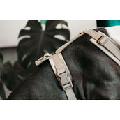 Kentucky Harnas Active Velvet Beige Kentucky Harnas Active Velvet Beige