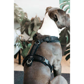 Kentucky Harnas Active Velvet Zwart Kentucky Harnas Active Velvet Zwart