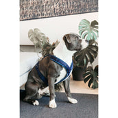 Kentucky Harnas Active Velvet Navy Kentucky Harnas Active Velvet Navy