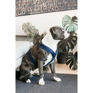 Kentucky Harnas Active Velvet Navy Kentucky Harnas Active Velvet Navy