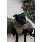 Kentucky Hondendeken Winter Pina 160g Pine Green Kentucky Hondendeken Winter Pina 160g Pine Green