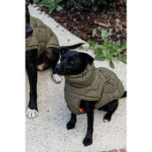 Kentucky Hondendeken Winter Pina 160g Pine Green Kentucky Hondendeken Winter Pina 160g Pine Green