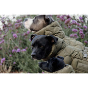 Kentucky Hondendeken Winter Pina 160g Pine Green Kentucky Hondendeken Winter Pina 160g Pine Green