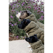 Kentucky Hondendeken Winter Pina 160g Pine Green Kentucky Hondendeken Winter Pina 160g Pine Green